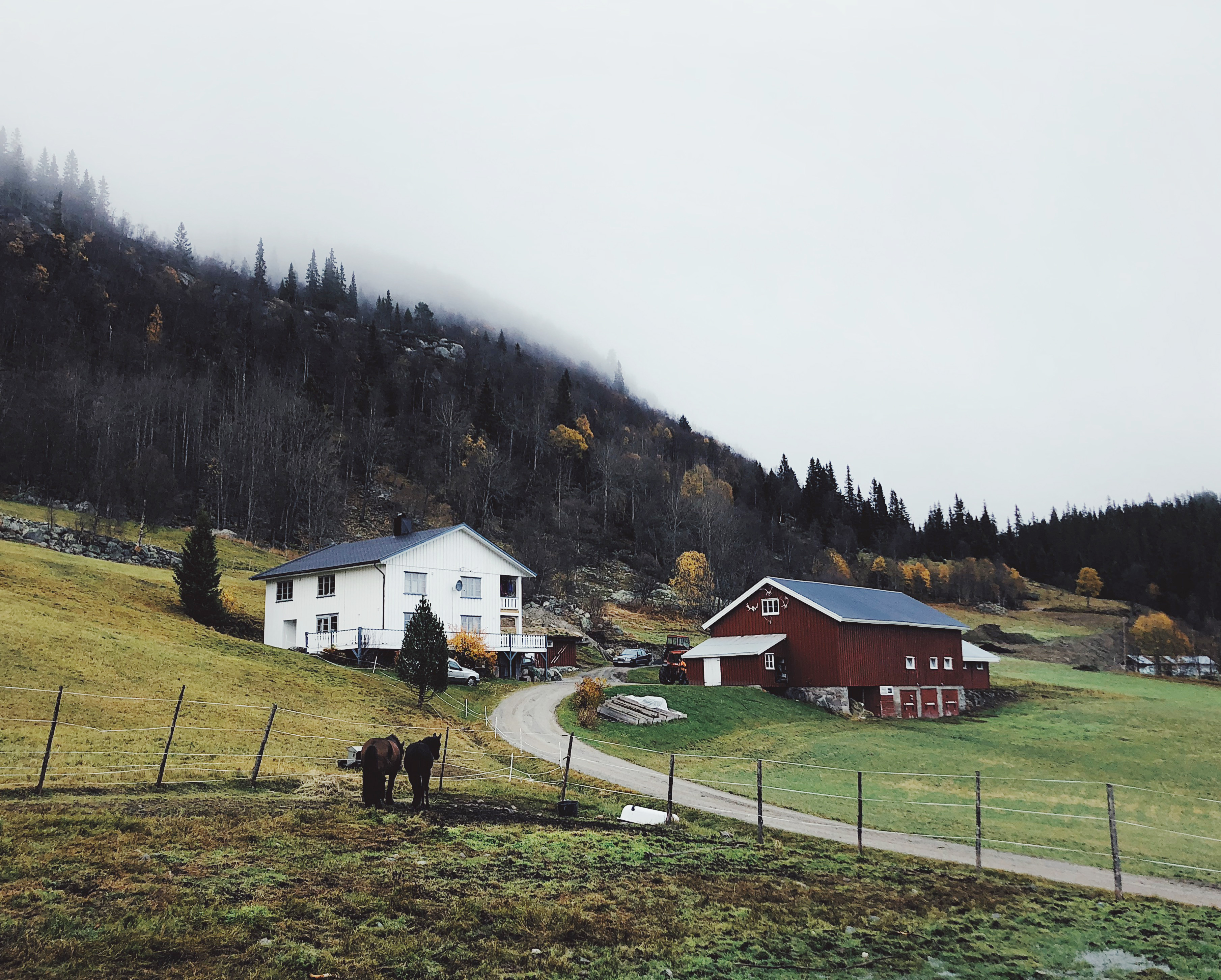 vsco_norway_2